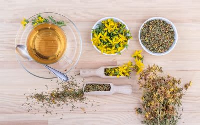 Qu’est-ce que la Naturopathie ?